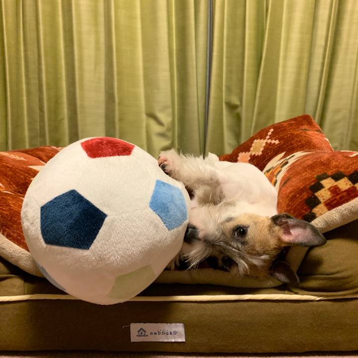 06b9e54d 98c2 4504 b765 b217ce7af59d 1582291823437