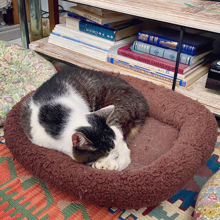 06b9f9db c98d 4987 84a4 b96f8ed131a6 1595490853678