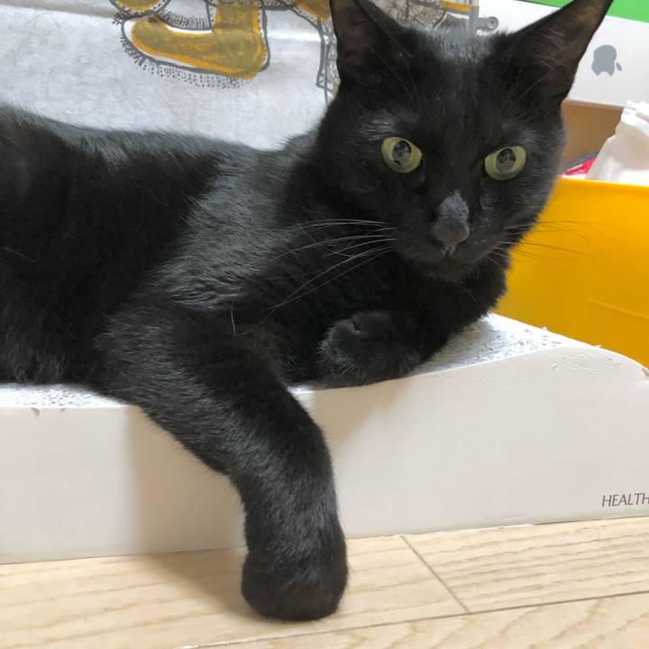 06ba1498 71c9 4f5d be5b 9c91b3236d0f 1631881808437