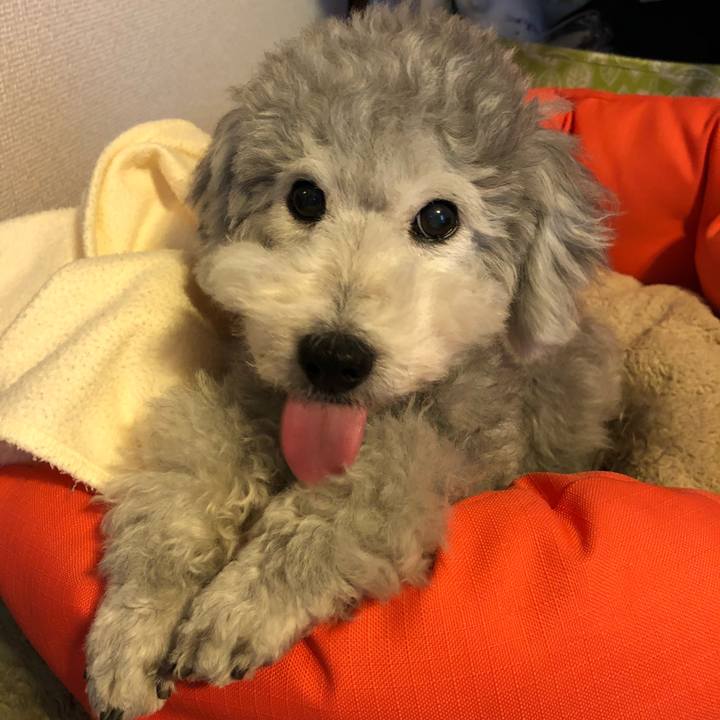 06ba3249 1c57 4dd0 8787 9c9eb057c7d5 1524611008525