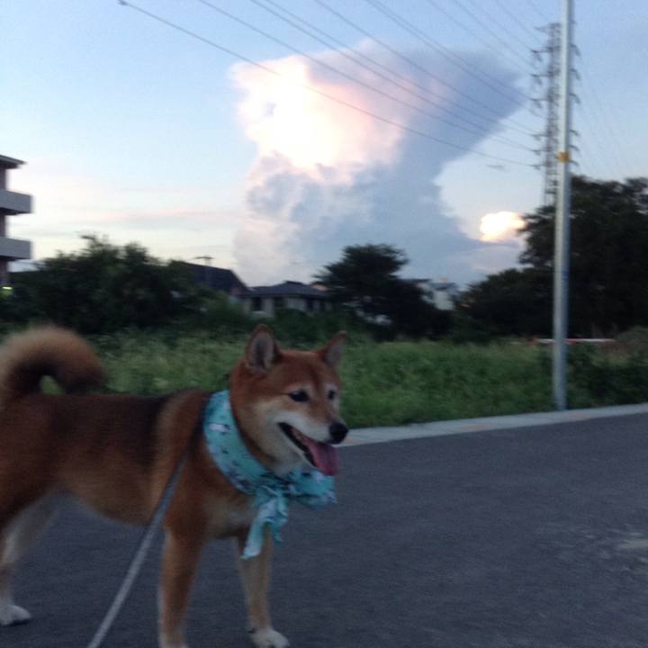 06ba3372 6f8b 4e0d 9420 c0404ba3af2b 1535282481792