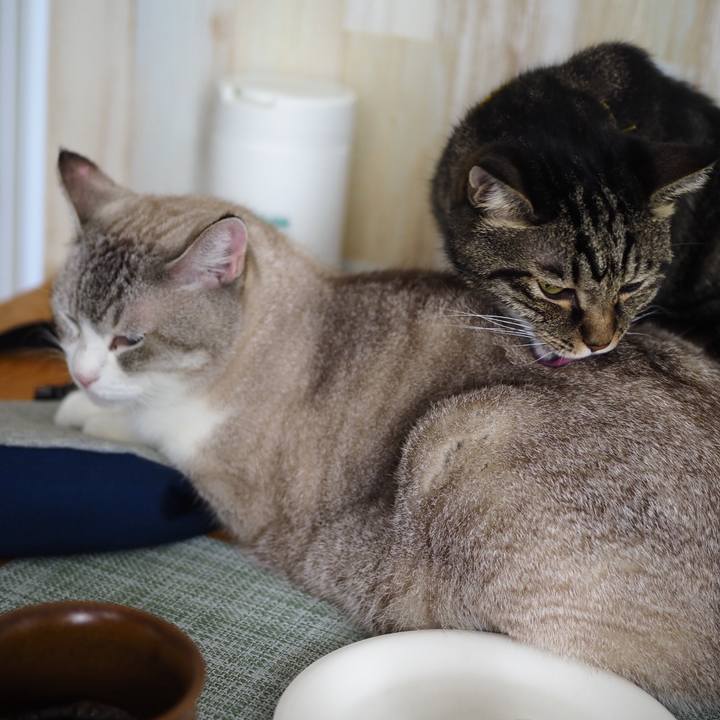 06ba8232 8afc 43de 9e7d ecb22d9afe54 1725420932297