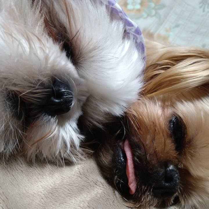 06ba86d3 4c85 4909 ac1c 4f26607a9521 1615643732595