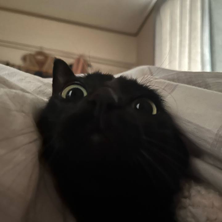 06ba948c 1715 4e85 bb6e c8f8c40226c2 1772755718645