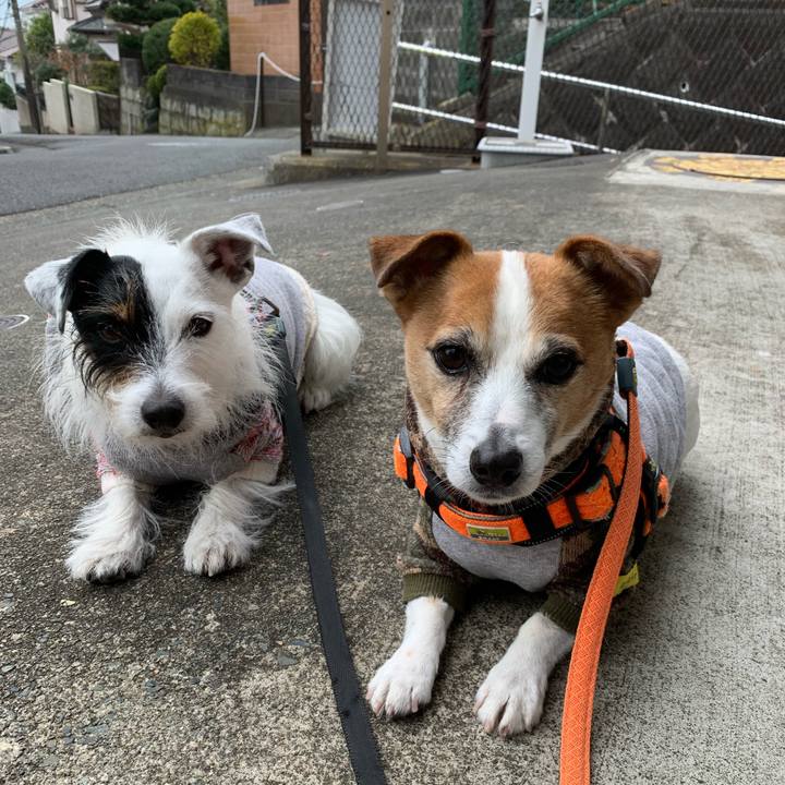 06baab37 ff65 4174 be21 647050c1c9f6 1638755209835