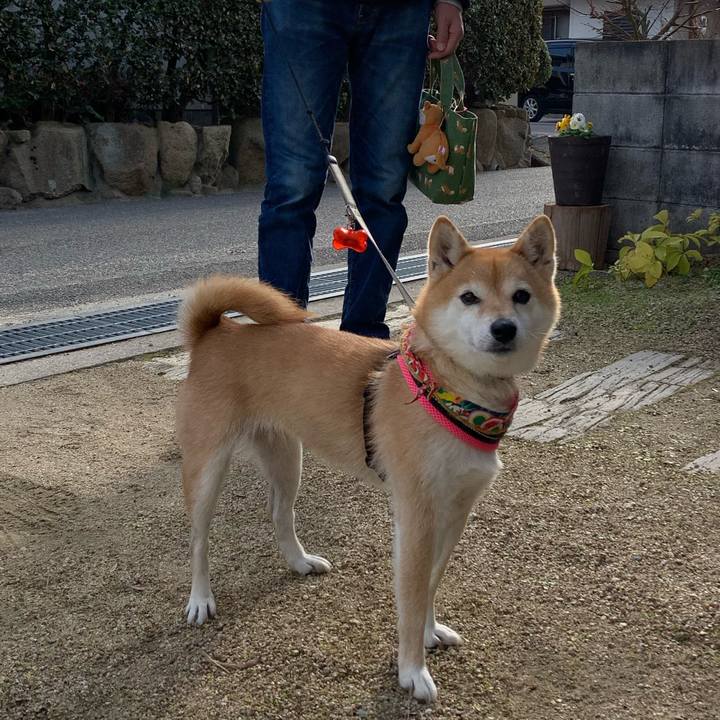 06badfef a5d2 4f65 b0c2 bf6a9e0b781c 1578223243440