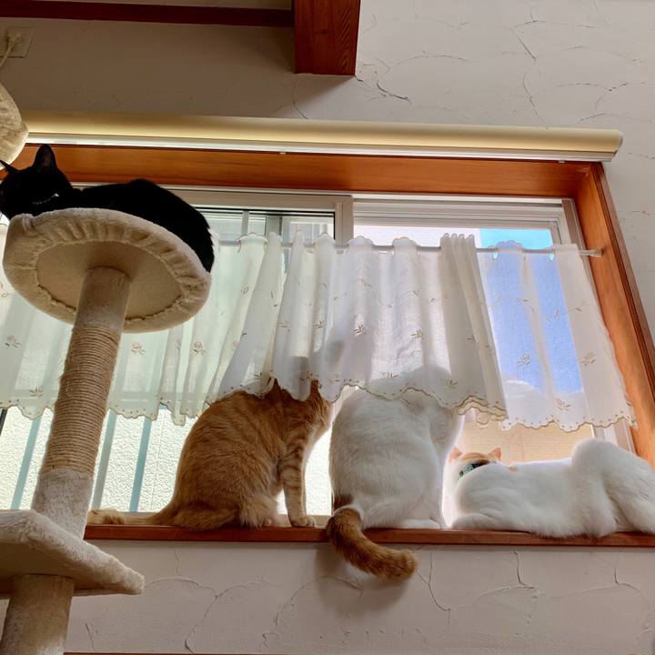 06baf2ea 2834 4870 8755 bc10a8972640 1557463743527