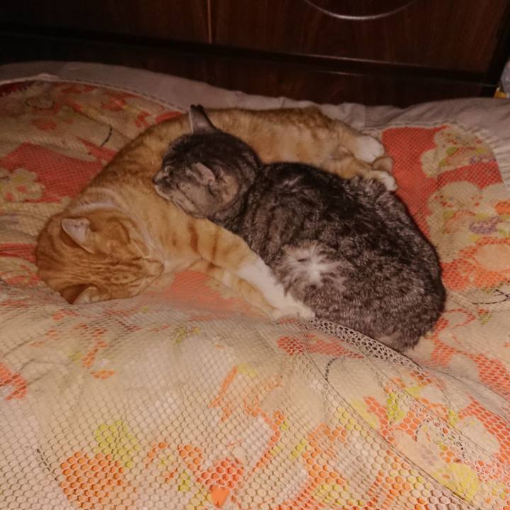 06bb1185 bb6a 4a77 a444 2f86966f322c 1577282348217