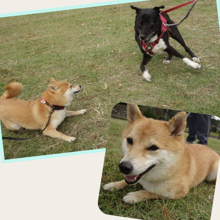 06bb181c 7424 4041 9977 d673d2d3d836 1696729185209