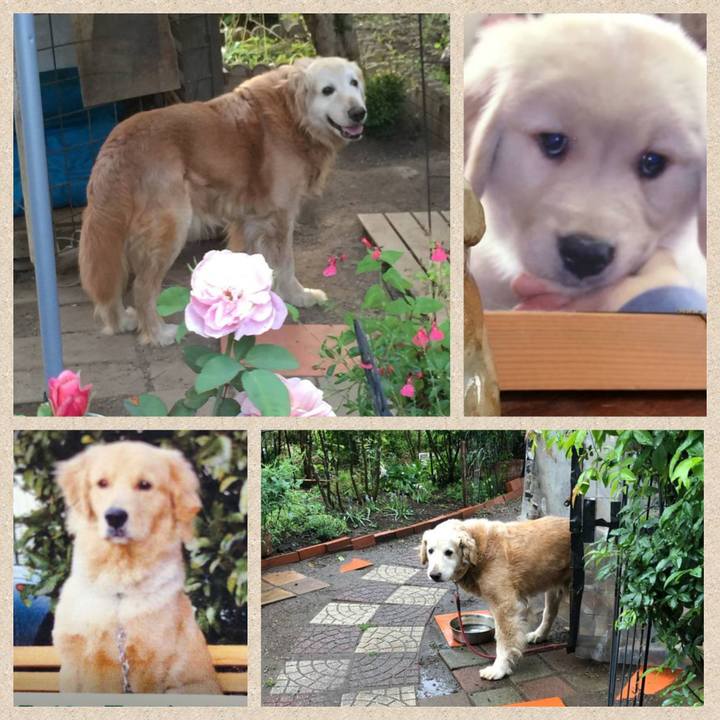 06bb8106 1d6c 43d5 83f7 8603a3eb1c24 1601177117934