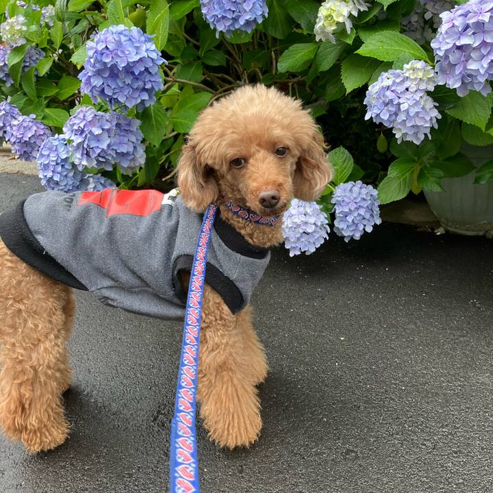 06bb9005 829b 46b8 9f30 ffdbc15a852a 1667696278173