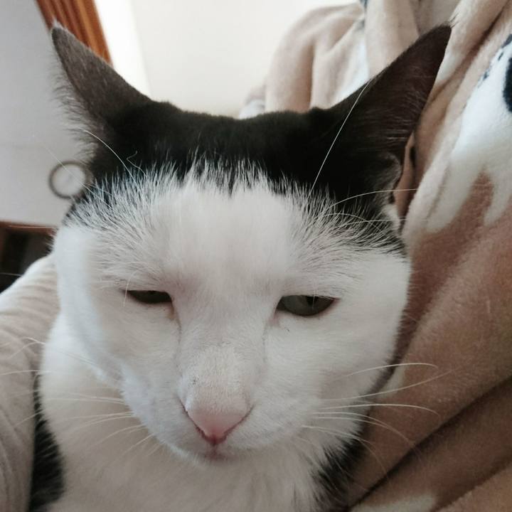 06bbb130 6000 4d3c b041 2aa352c38cfa 1520691095541