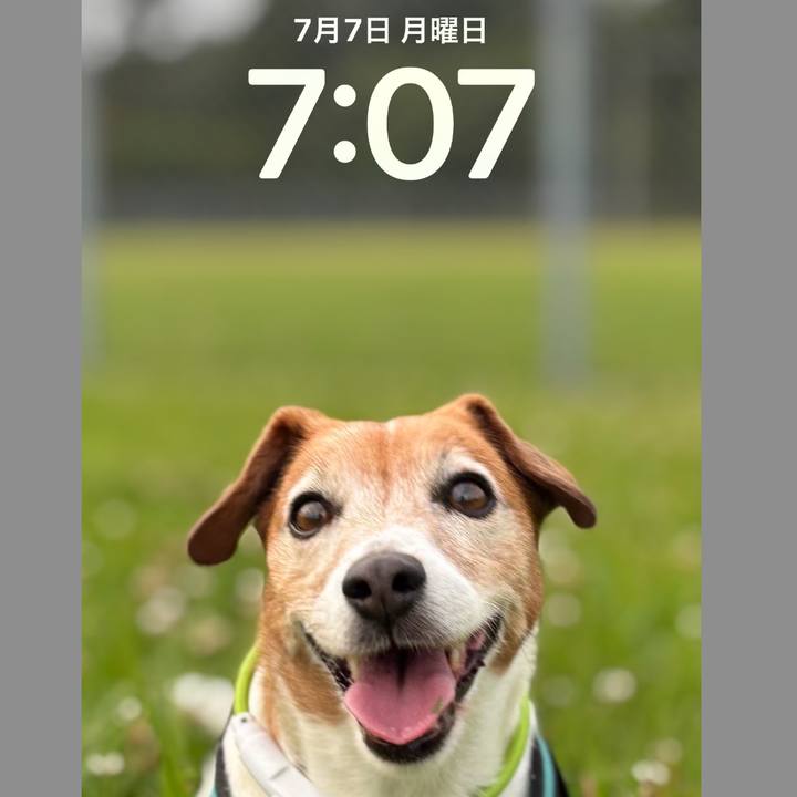 06bbb800 9a0e 4235 9f5d e7b8ea1e7cf6 1751842375885
