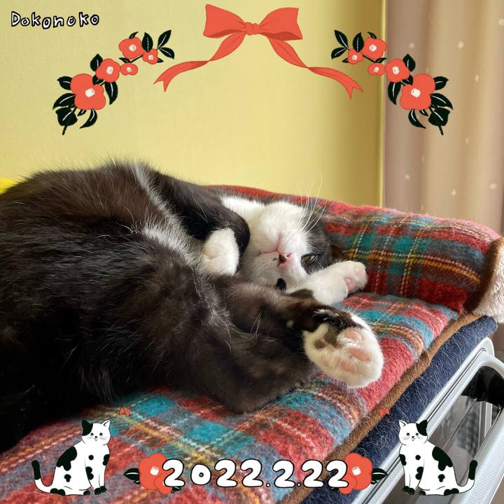 06bbb925 262d 4a57 a11b 969a5b1a2150 1645526043248