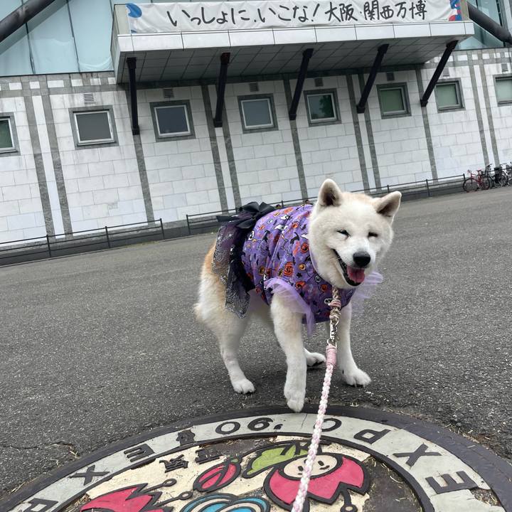 06bbc2a6 528c 40f2 a5e2 ffb4ded9d8e3 1760314310491