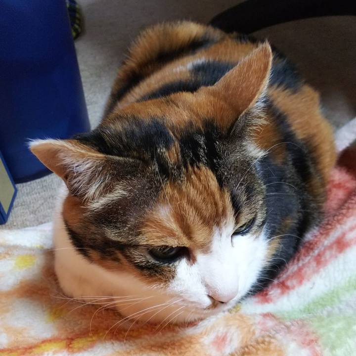 06bbdaa9 7cb9 4e9b bd3d eed231345dcd 1557438521158