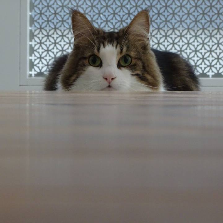 06bbe7b1 2dd8 4f41 8ac0 4df92724a560 1540282656470