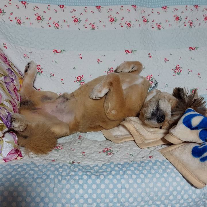 06bbf14e 2e52 42bd 8ce5 143473f30de0 1631451393266