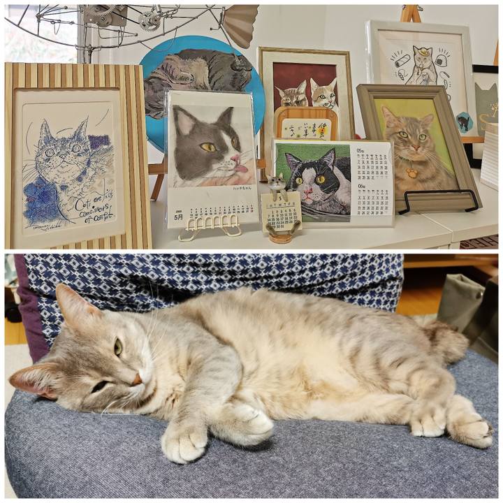 06bc8b7b f556 471d b359 ad1aee5590aa 1682915701931