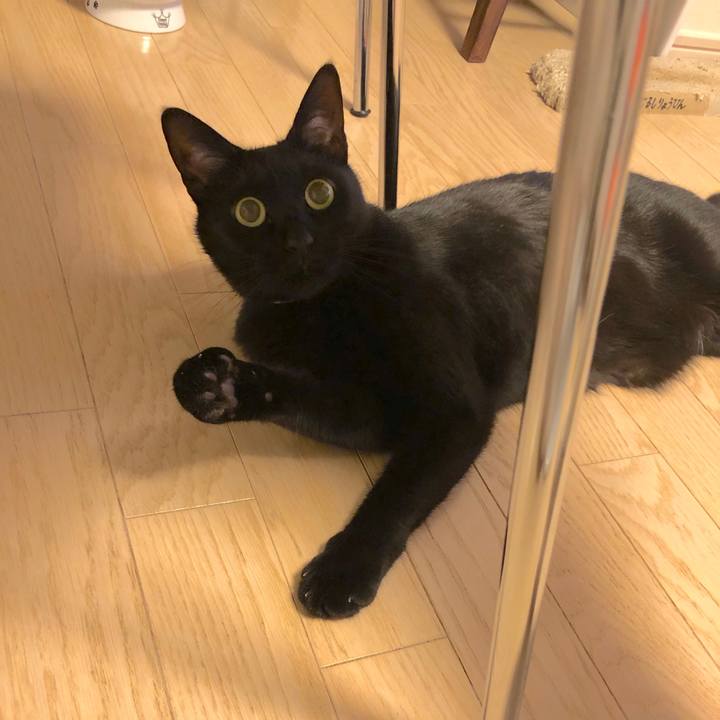 06bcb0dd 9475 4e22 a72a 531e2a432528 1513772332472