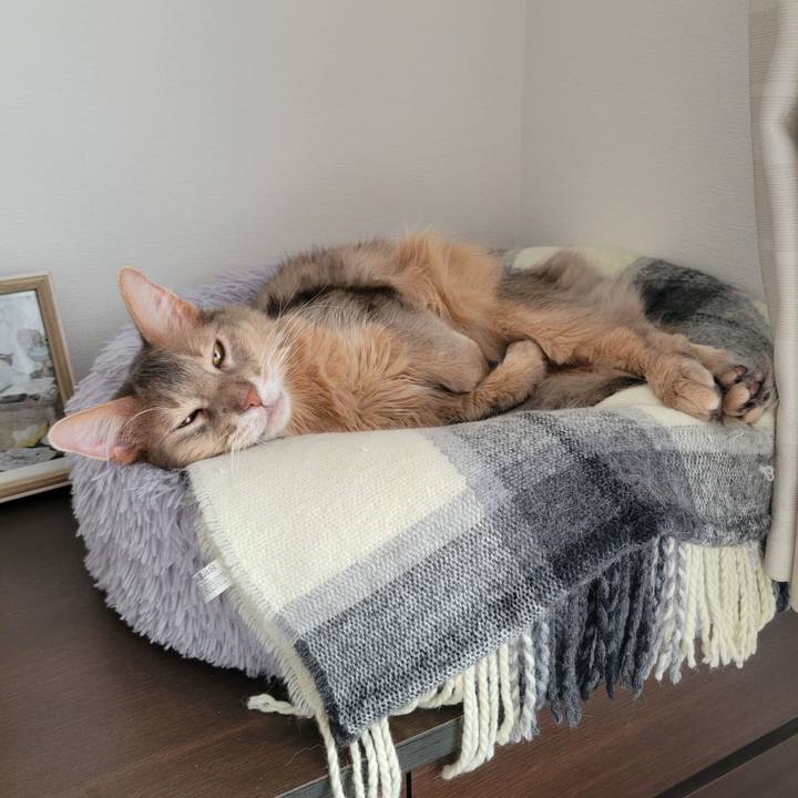 06bcc806 9d6b 41c8 8226 baaae25e8557 1684205160716