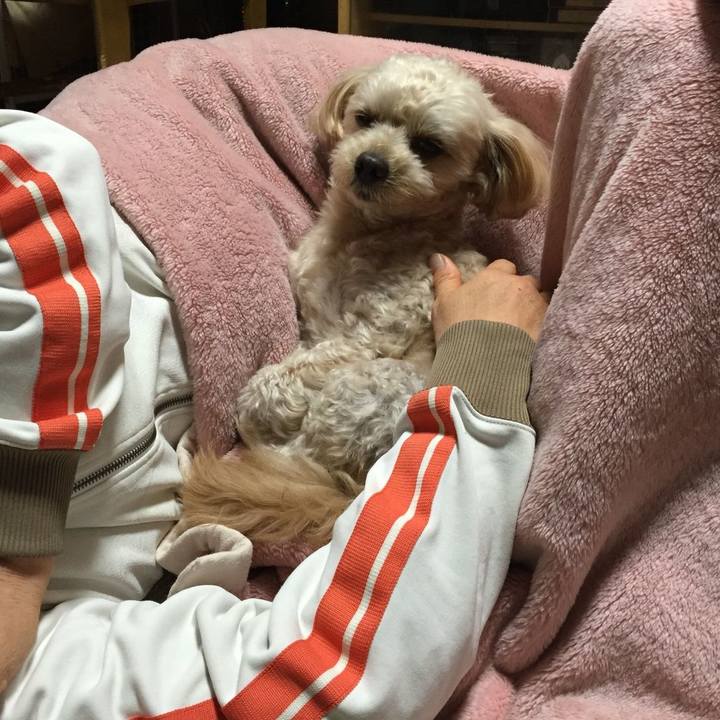 06bcde29 7151 4a2b b0b3 ffd19ff72a70 1573569219633