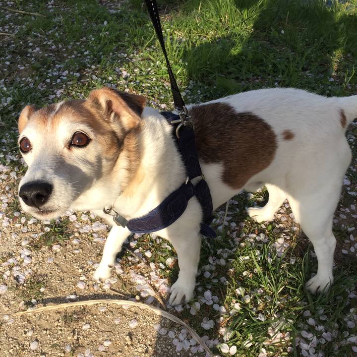 06bd1c62 1da0 410a b8b8 5ad71c2afb52 1522623572575