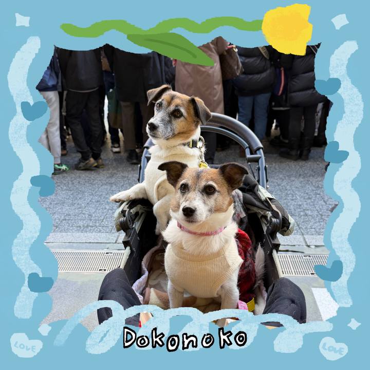 06bd6f49 fc58 43ea ae03 2fcb7e121abe 1771816199079