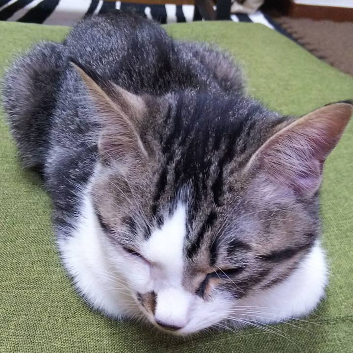 06bd9994 87e0 4216 ae46 7c9533217b61 1611929045905