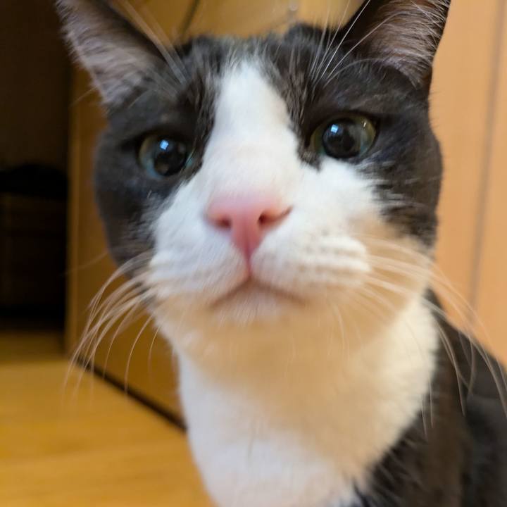 06bda7b5 1250 441d 9459 9db4edecf208 1757329043006