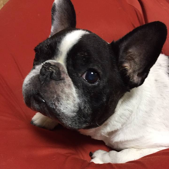 06bdb890 1f29 401b 8cb0 cf805b6c085f 1526597399592