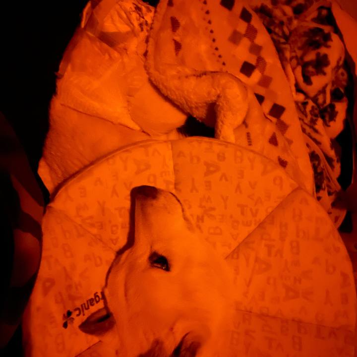 06bdd57e 4fc0 4b8c bc4e 4d11baacd86f 1670437226235