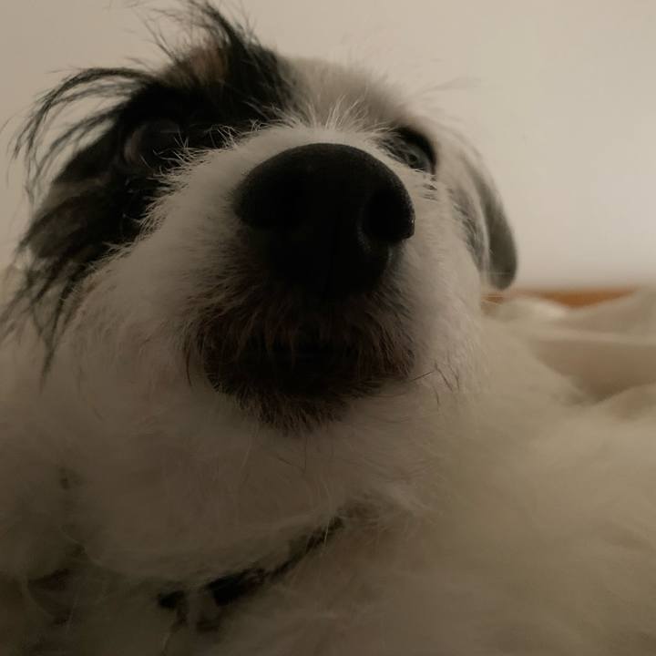 06bddd74 dd97 4a60 b6bf 4091a9ed4c0d 1718891419750