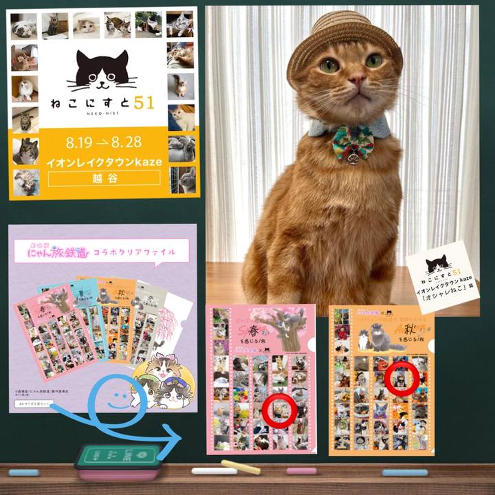 06bdf8a1 41cd 49b7 8143 453acd149b7f 1660814690515