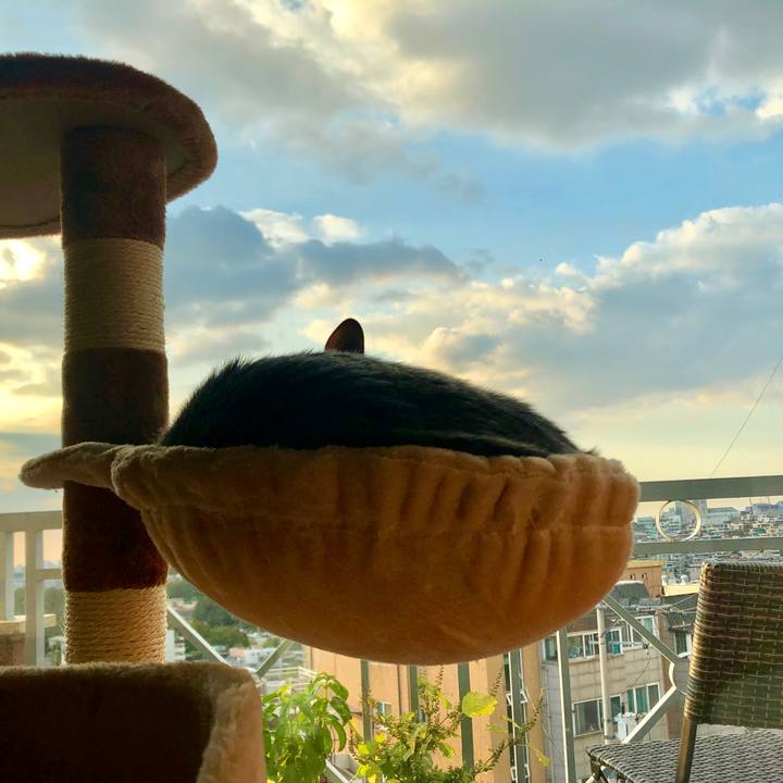 06be0c3a 3e67 488a 8ac5 f2c8a6a5ca9e 1571127275534