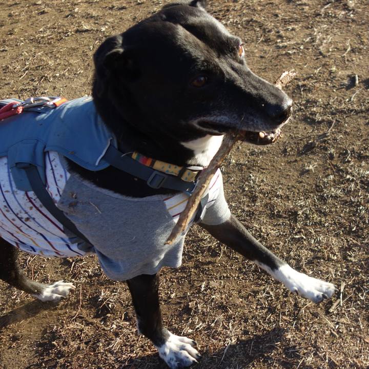 06be861b 5cba 441e b011 01109b8b98e0 1705539613117