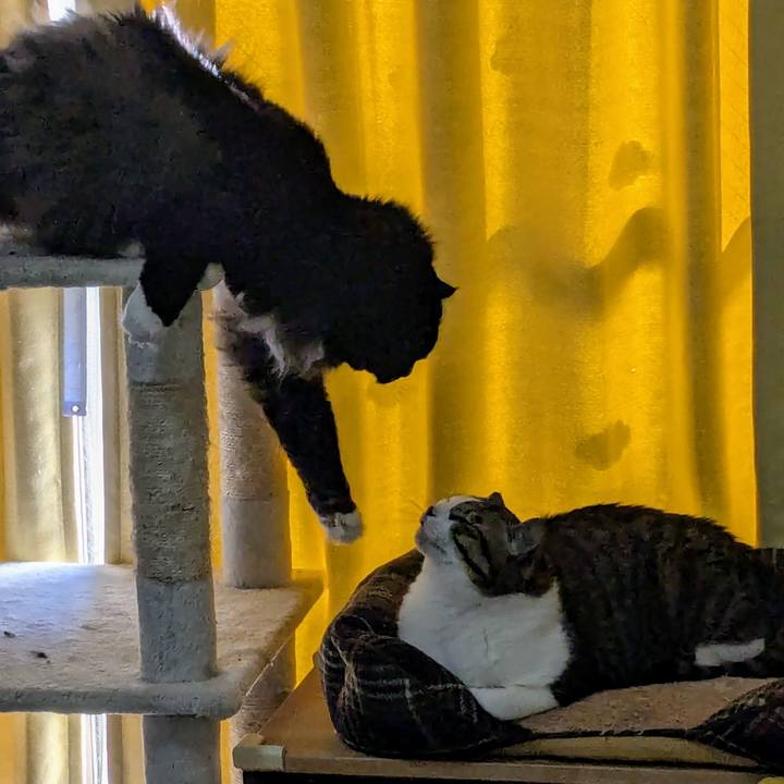 06bec378 5c1e 422c 8666 47eb579a541d 1738974877070