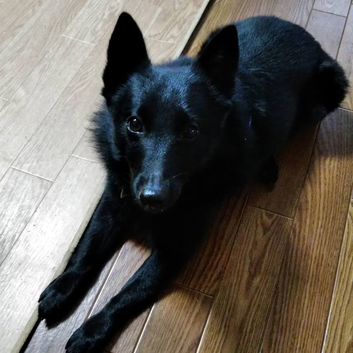 06becd52 6d10 438f a9e3 070358a17ce5 1573285113281