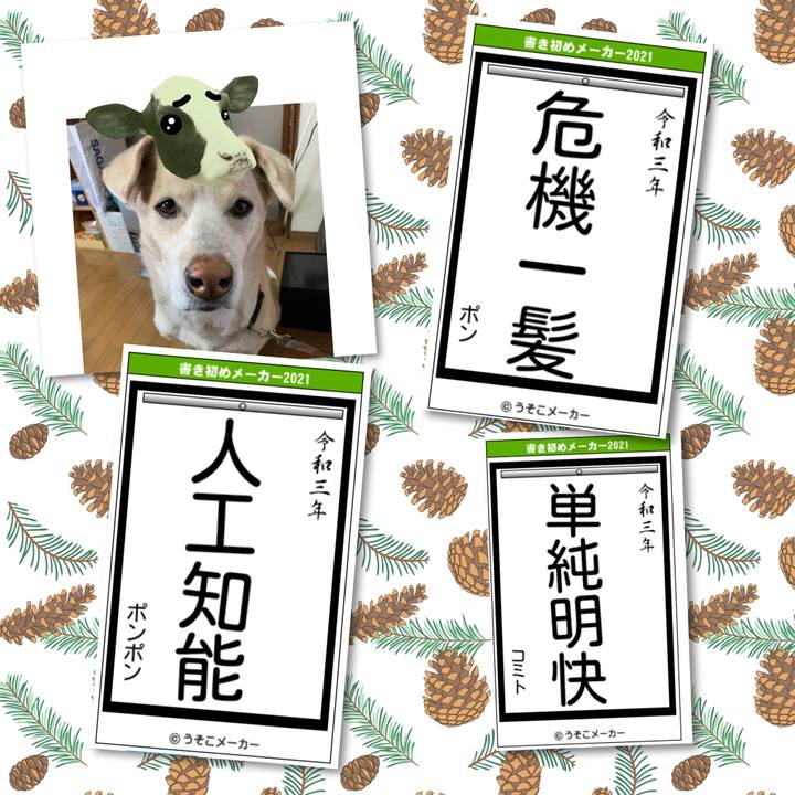 06bed707 de65 499f 86ce b306a13dc83c 1609644838738