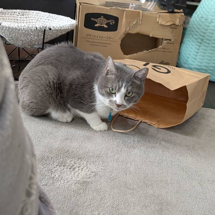 06bef57e 9edb 4e95 838e 22cb191d66be 1743062523206