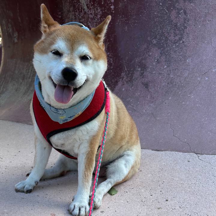 06bf02bf dead 40bf 883b 6cc1366dbf7e 1726351834419