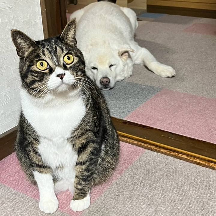 06bf0402 7f0d 4a86 a6d8 776c1aaf3b77 1764200193825