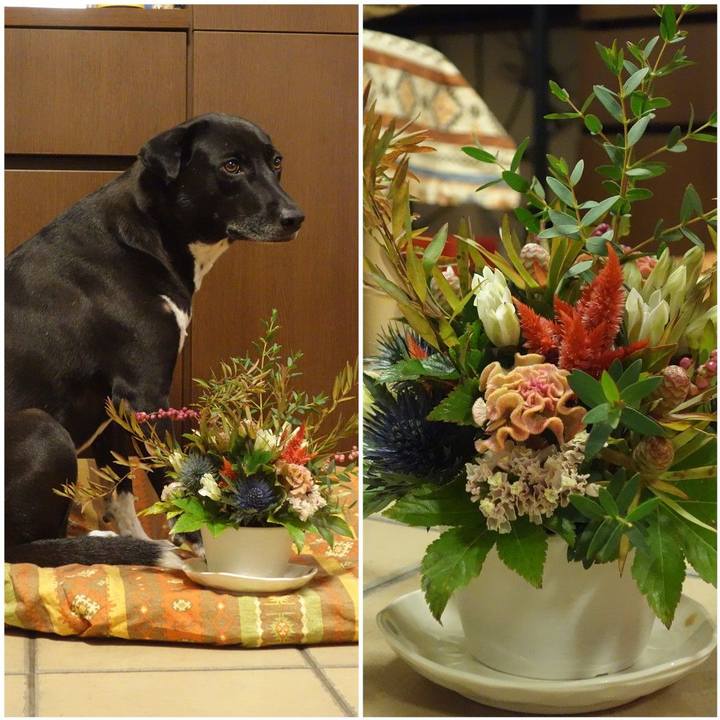 06bf30cf 7085 4b57 a176 3ad3da90cc57 1635418289560