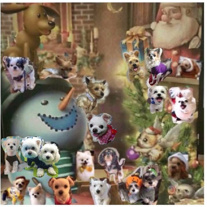 06bf3ace 5a51 4560 bff6 c11eb43c4252 1513037529088