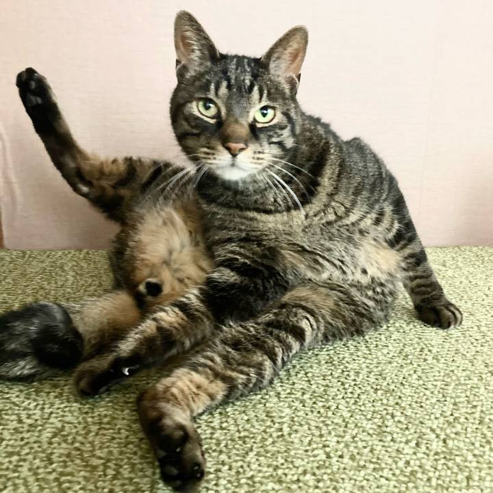 06bf4030 3637 4e22 9b45 67d0a0493390 1681607794527