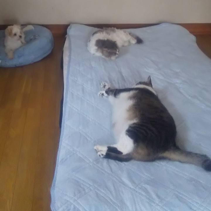 06bf606f 1ab0 4ab7 bcca e7851518ac4c 1691998439005