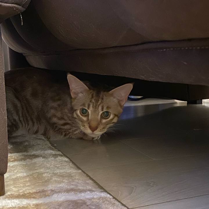 06bf6294 8193 4fcc 9ab0 a762b2ef0ddd 1605786637661