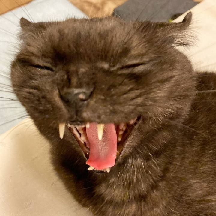 06bfb9c3 aba5 4788 9f60 8ecb059d3388 1599837271891