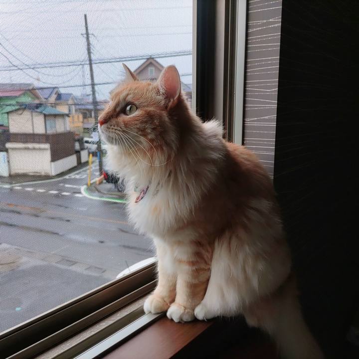 06bfc328 16ac 4d6b a3e4 7022728c35e7 1657936237096