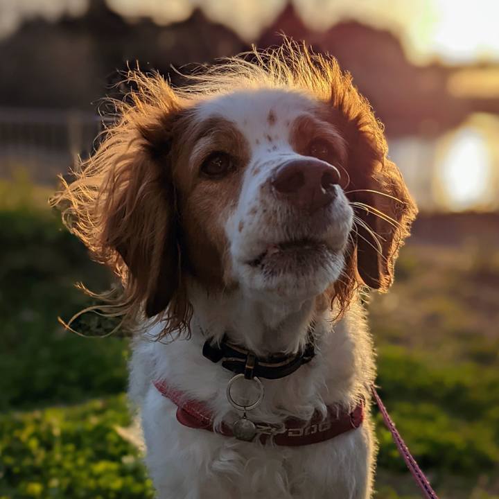 06c02668 4321 45ca 82ae 0fdc3f4e2894 1642411408751